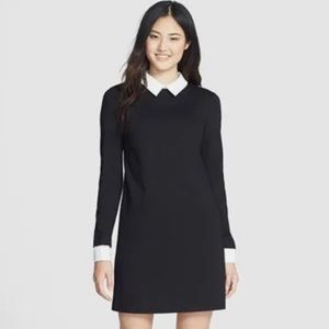 COPY - Cynthia Steffe Ponte Shirtdress in Black/White Size 8